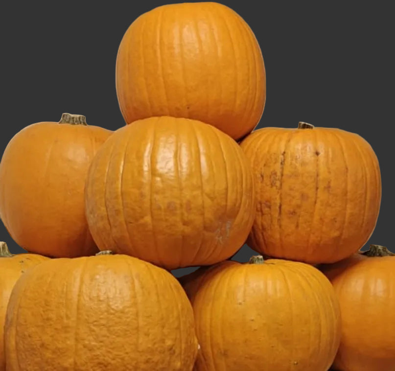 Pumpkin